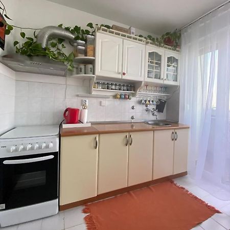 Ferienwohnung Danube Vukovar Exterior foto