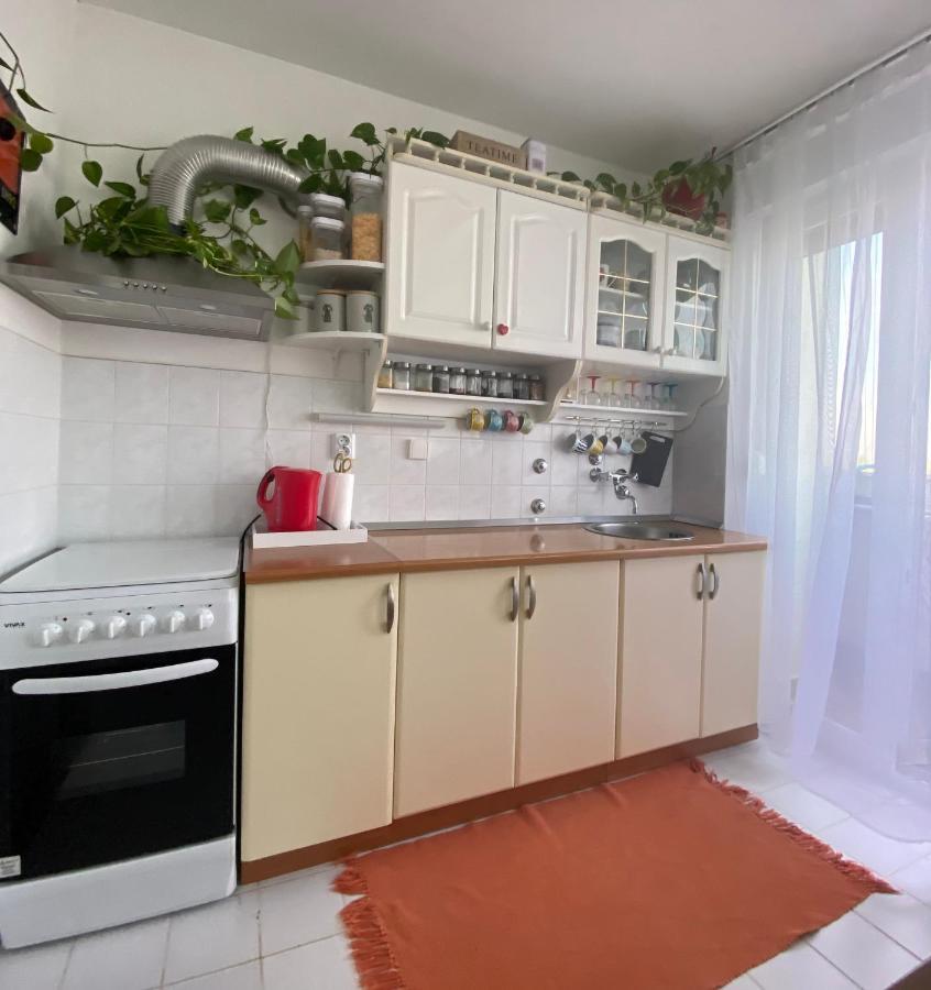 Ferienwohnung Danube Vukovar Exterior foto